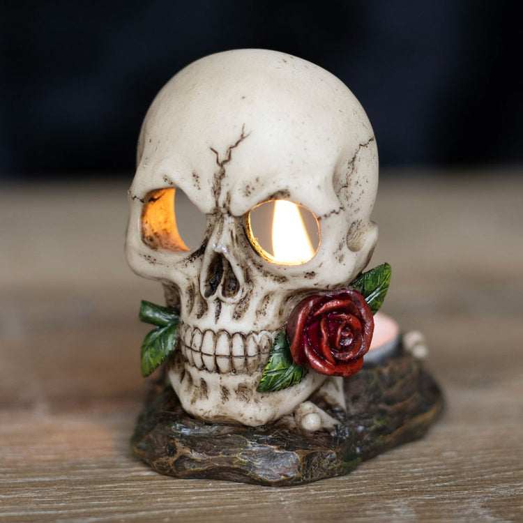 Skull Collection