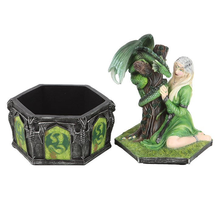 Dragon Friendship Summer Box by Anne Stokes