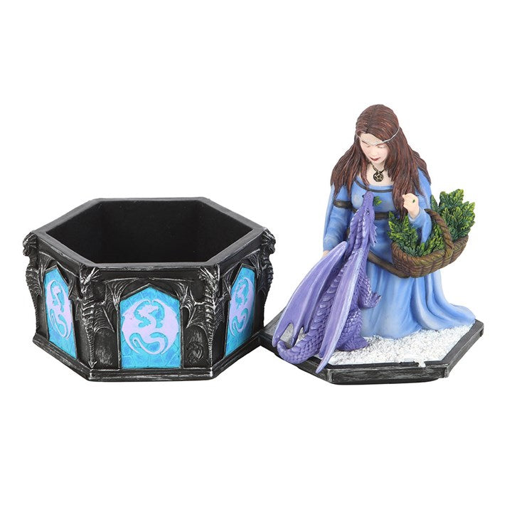 Dragon Friendship Winter Box by Anne Stokes