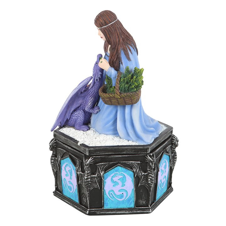 Dragon Friendship Winter Box by Anne Stokes