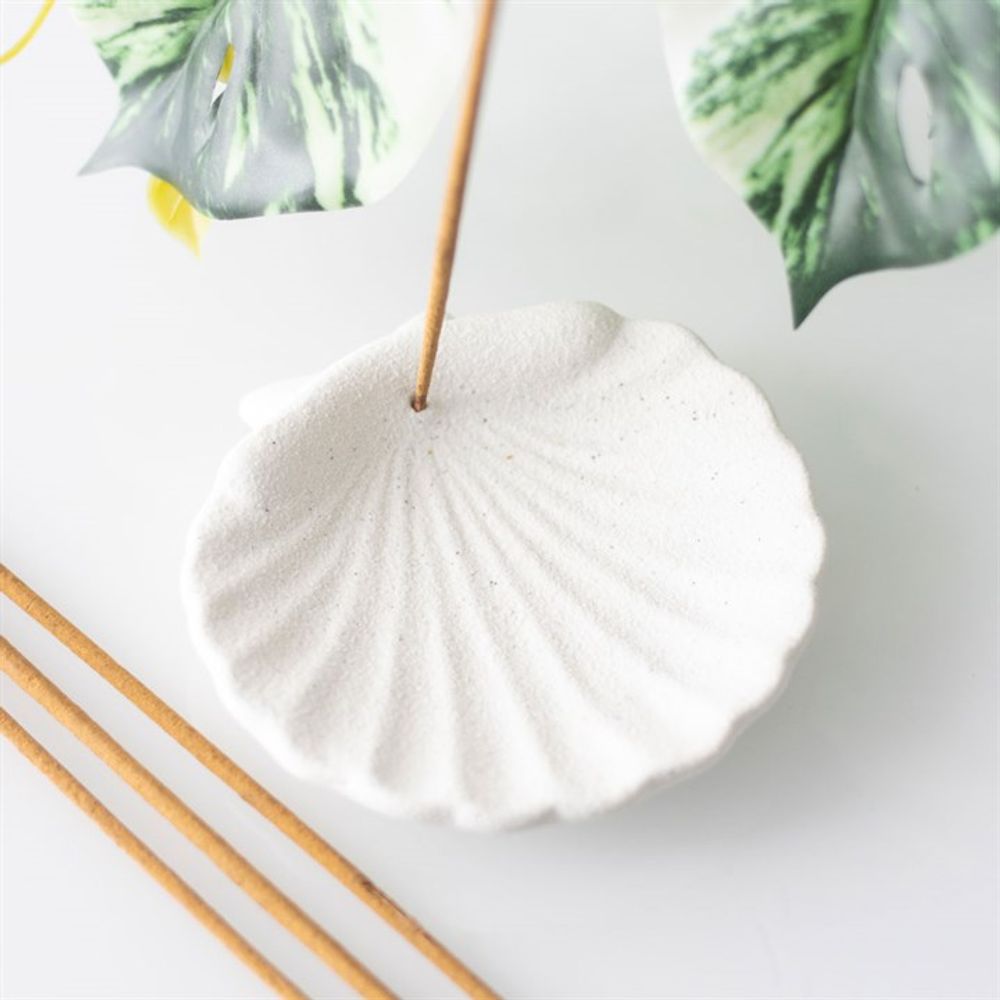 Off White Scallop Shell Incense Stick Holder