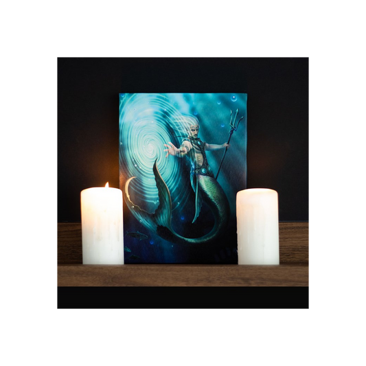 19x25cm Water Element Wizard Canvas Plaque by Anne Stokes