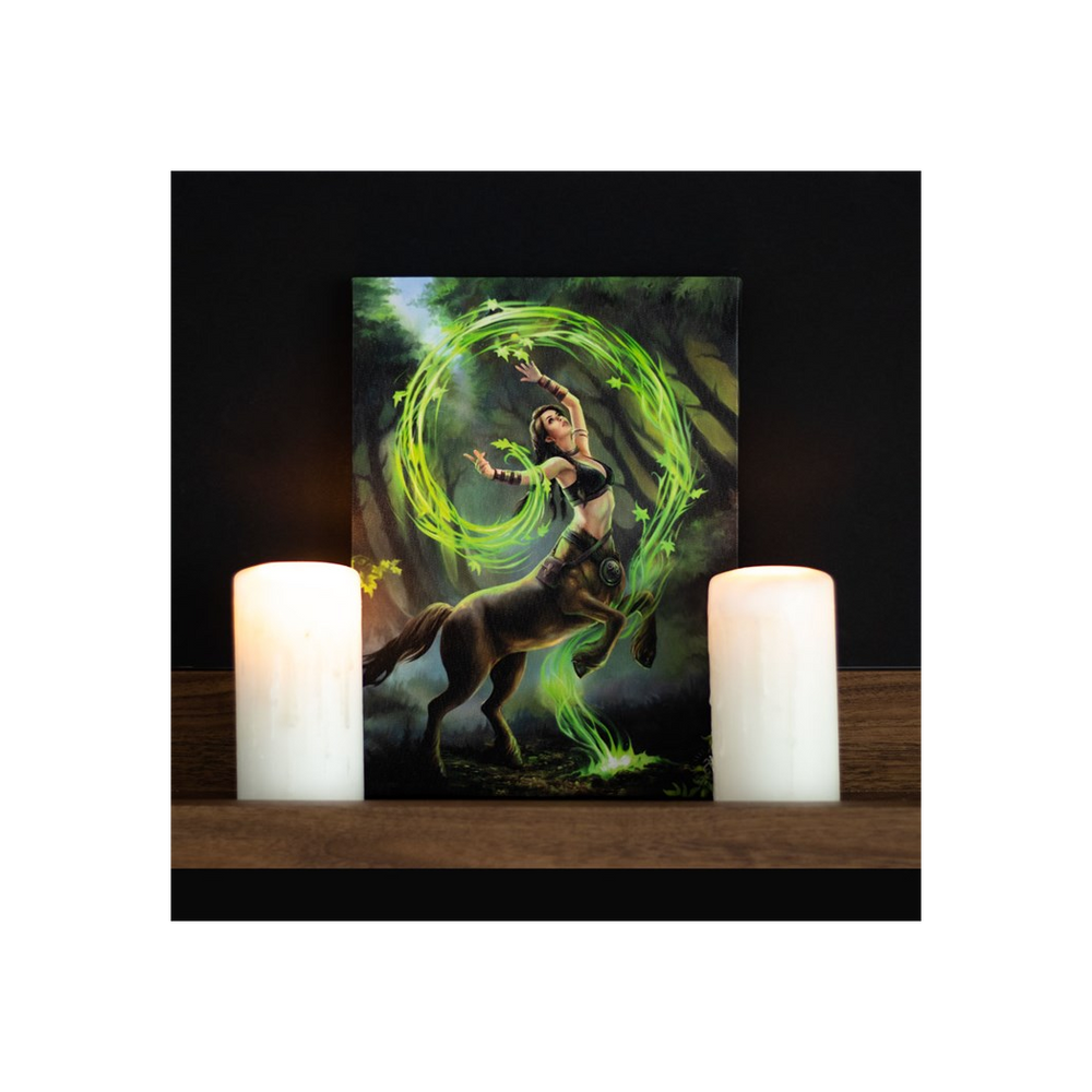 19x25cm Earth Element Sorceress Canvas Plaque by Anne Stokes