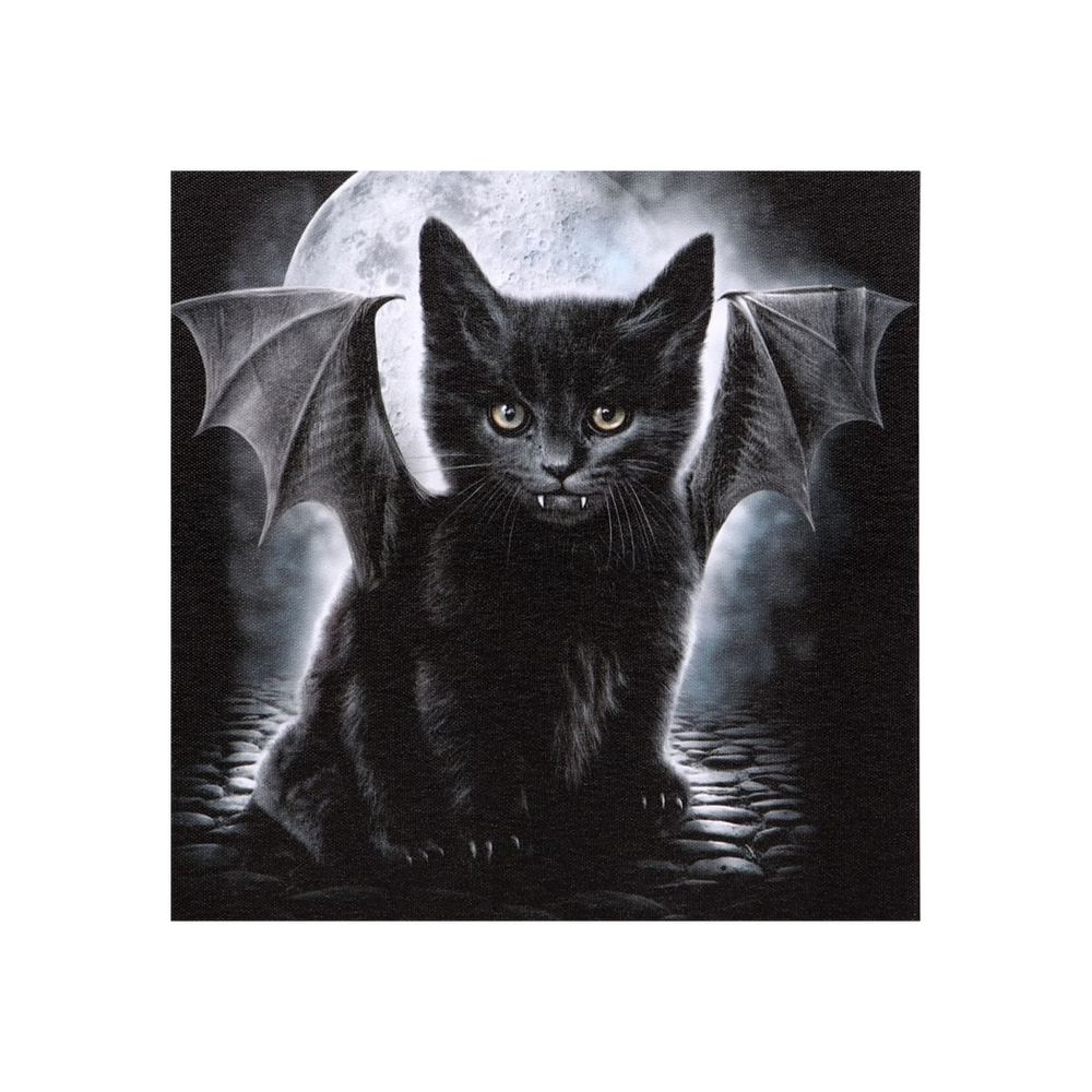 19x25cm Bat Cat Canvas Plaque by Spiral Direct