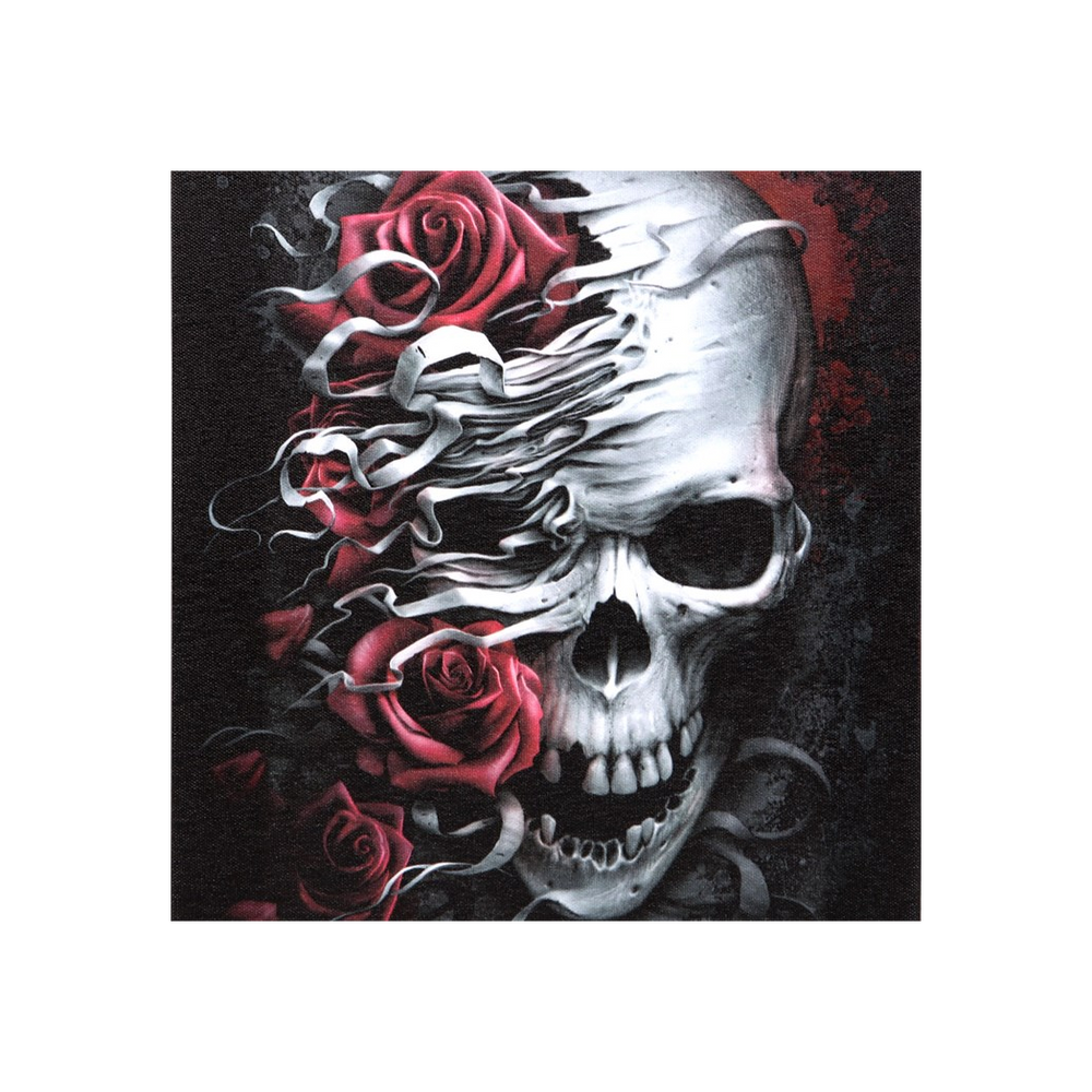 19x25cm Skulls n Roses Canvas Plaque by Spiral Direct