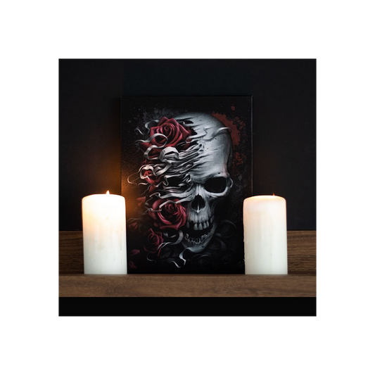 19x25cm Skulls n Roses Canvas Plaque by Spiral Direct