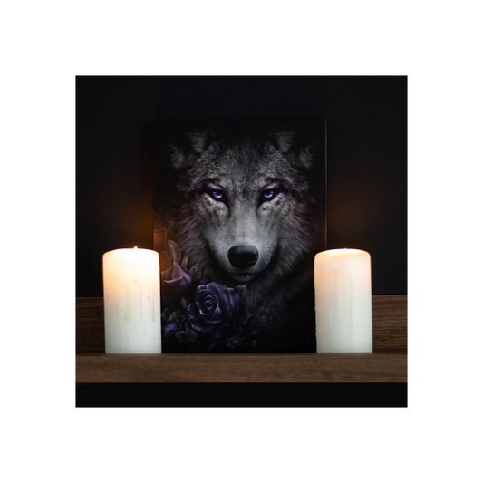 19x25cm Wolf Roses Canvas Plaque by Spiral Direct