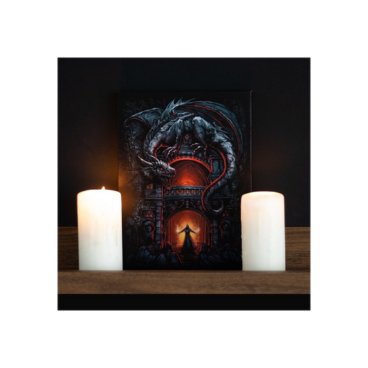 19x25cm Dragon's Lair Canvas Plaque by Spiral Direct