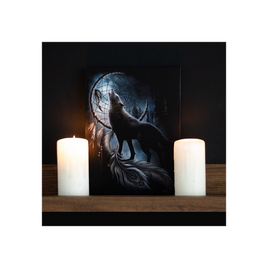 19x25cm From Darkness Canvas Plaque by Spiral Direct