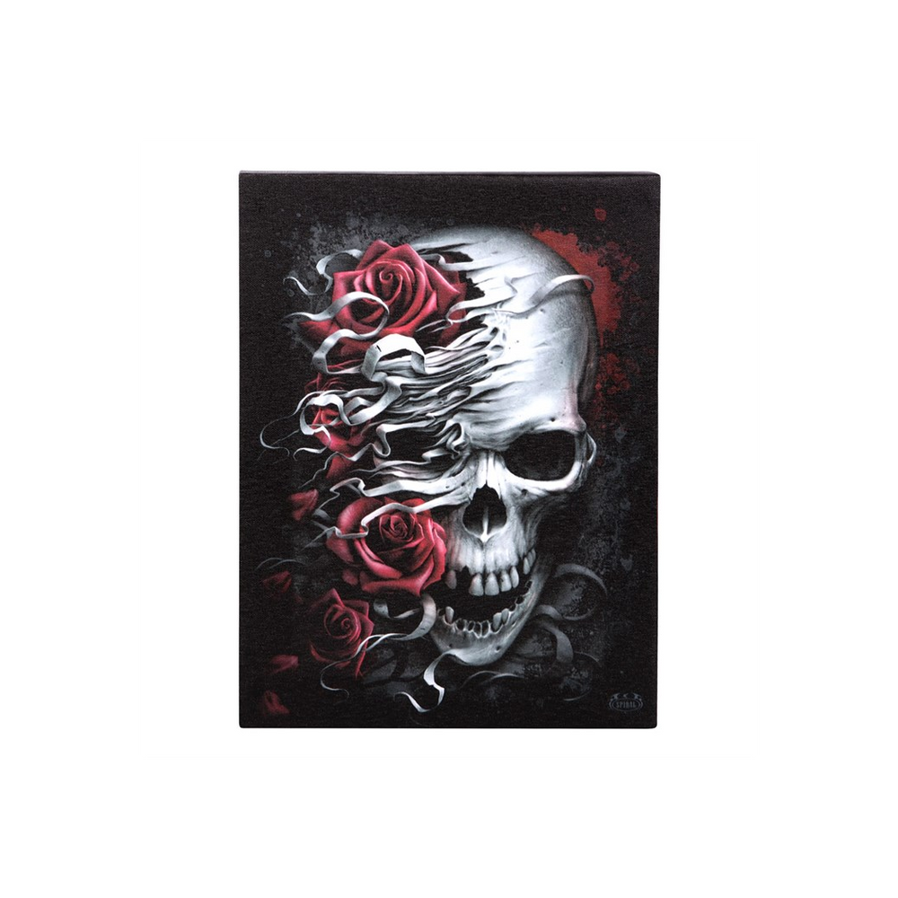 19x25cm Skulls n Roses Canvas Plaque by Spiral Direct